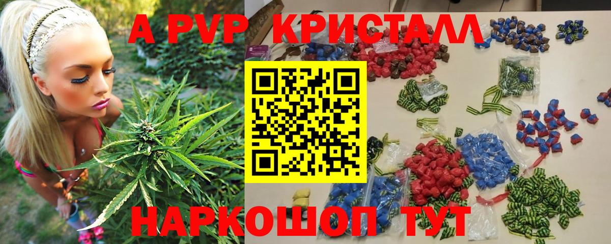 Alfa_PVP СК КРИС Рыбинск
