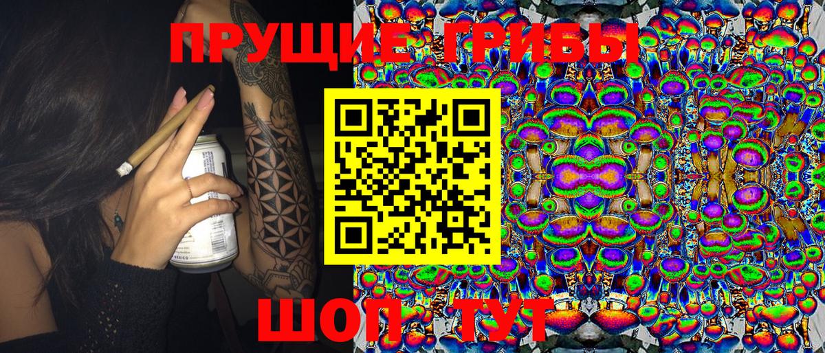 Псилоцибиновые грибы Psilocybe Рыбинск