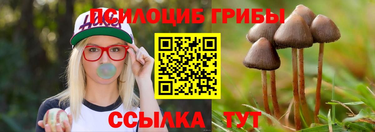 закладка  Псилоцибиновые грибы Psilocybine cubensis  Рыбинск  Вход с VPN  Псилоцибиновые грибы мухоморы 